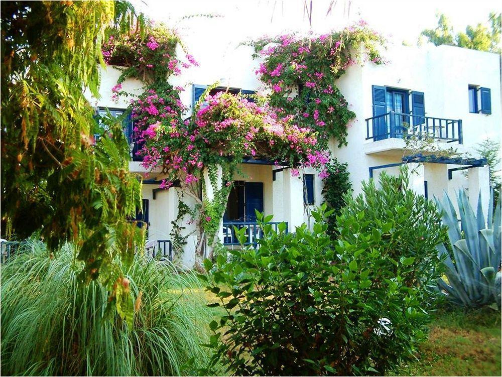Home Hotel (Adults Only) Hersonissos  Dış mekan fotoğraf