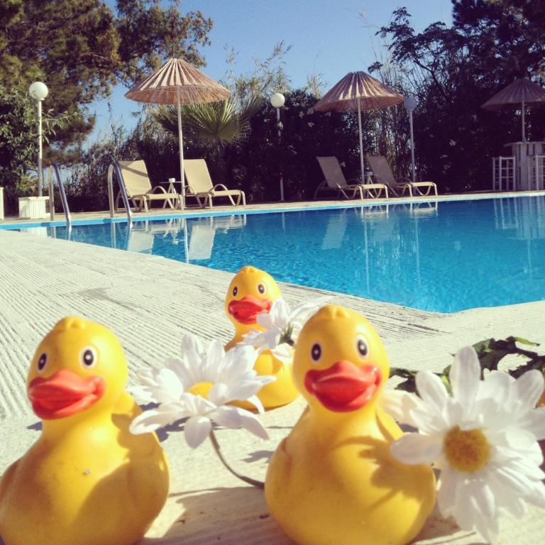 Home Hotel (Adults Only) Hersonissos  Oda fotoğraf