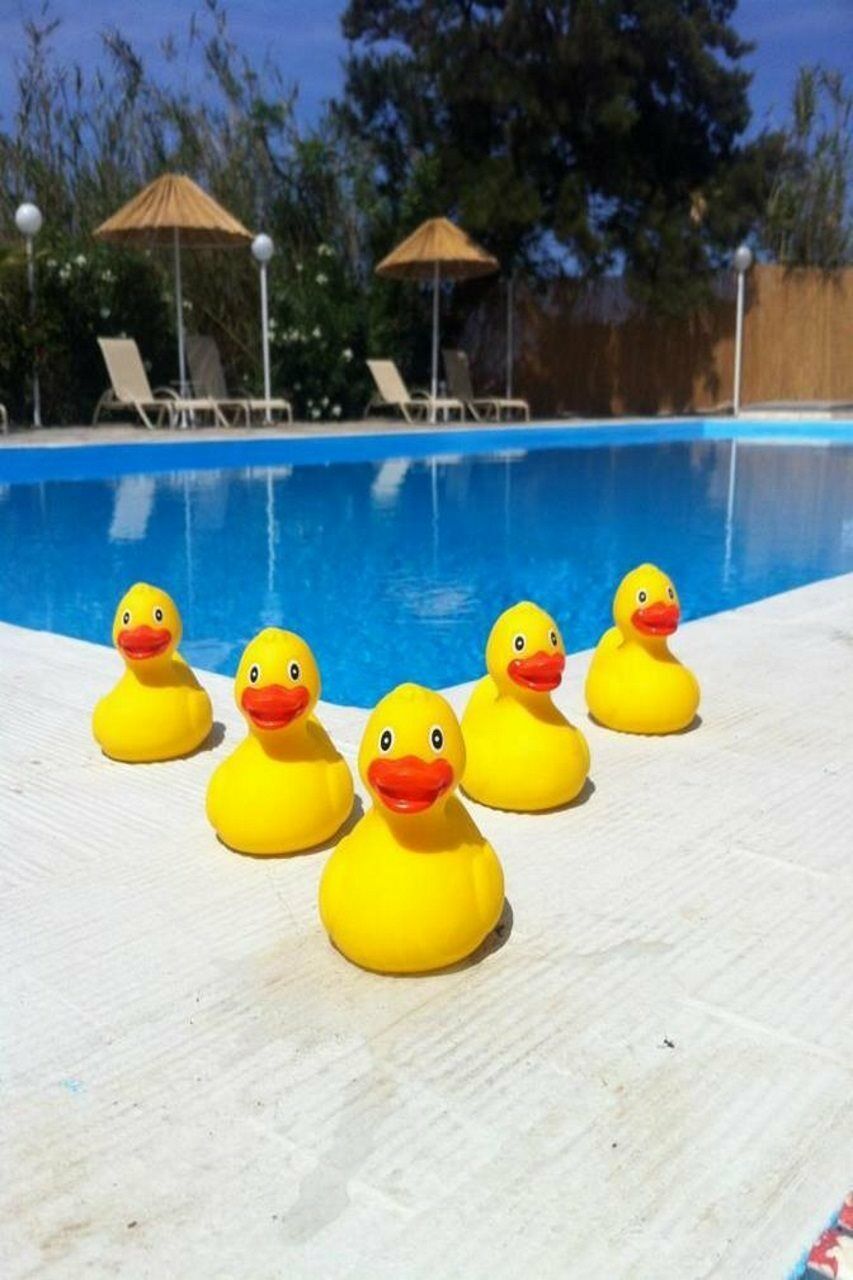 Home Hotel (Adults Only) Hersonissos  Dış mekan fotoğraf